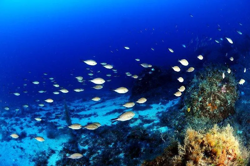 Hotel Baia Turchese Lampedusa İtalya